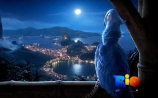 Blue parrot chain city night - full free wallpaper