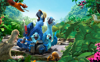 Blue birds forest plants trees - a train free wallpaper