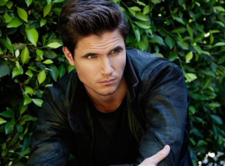 Man leaning bush serious face - his hip free wallpaper