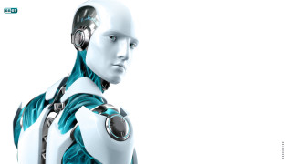 Robot blue scarf looking camera - cybernetic free wallpaper
