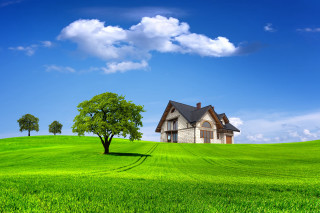 House hill tree greenfield bluesky - a tree in the foreground free wallpaper