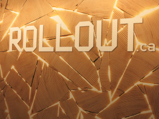 Wooden wall rollout light shining - andy goldsworthy free wallpaper