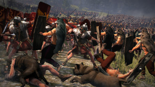 Men armor fighting dog field - the background and a dog free wallpaper