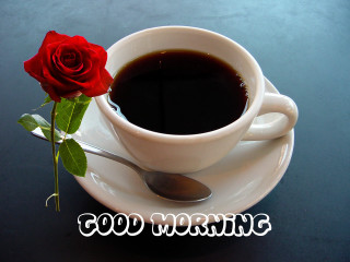 Coffee cup spoon rose saucer - the word good morning free wallpaper