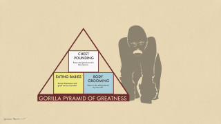 Gorilla pyramid greatness stages gorillaism - a diagram free wallpaper