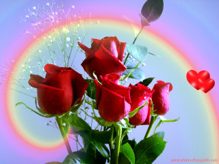 Vase red roses heart balloon 3 - a vase free wallpaper