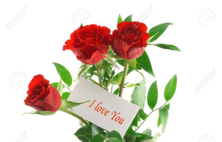 Red roses note romantic digital - red rose free wallpaper