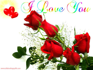 Red roses rainbow heart love - red rose free wallpaper