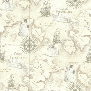 World map ships compasses navigation - a storybook illustration free wallpaper