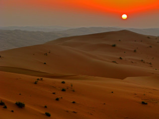 Sunset desert trees mountain horizon - a sunset over a desert free wallpaper