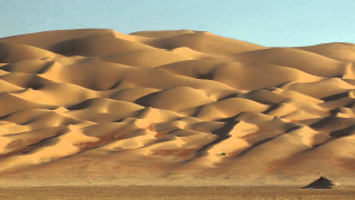 Sand dune lone tree blue - a large sand dune free wallpaper