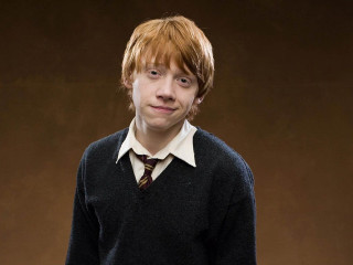 Young man tie sweater posing - a young man free wallpaper
