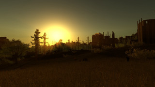 Sunset city trees person walking - tall building and trees free wallpaper