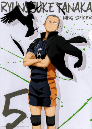 Man arms crossed bird flying - fine free wallpaper