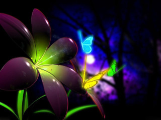 Flower butterfly night sky background 3 - the dark night sky free wallpaper