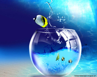 Fish jumping bowl ocean blue 3 - surrealism free wallpaper