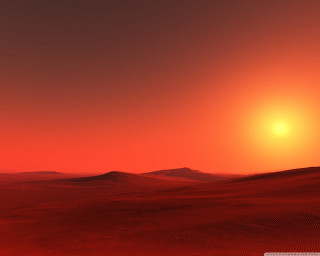 Red sunset desert lone tree - a lone tree in the foreground free wallpaper