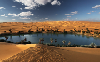 Lake sand dunes palm trees - the desert free wallpaper