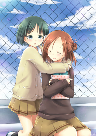 Girls hugging fence fenced area - a fence and a fenced in area free wallpaper