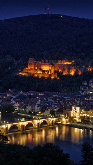 City night bridge castle lights - a city free wallpaper