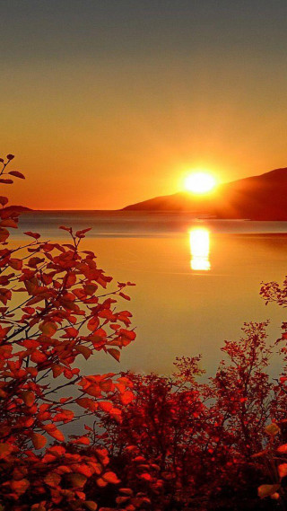 Sunset lake boat trees foreground - sunrise free wallpaper