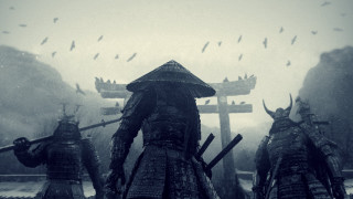 Armor group mountain birds sky - overhead in the sky free wallpaper