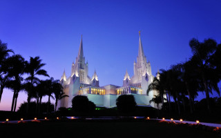 Cathedral night palm trees blue - modernism free wallpaper