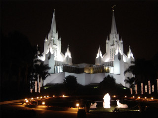 Cathedral night person dog standing - a dog in front free wallpaper