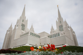 Large white church steeple flowers - a steeple free wallpaper