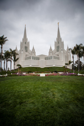 Large white building tall spire - palm tree free wallpaper