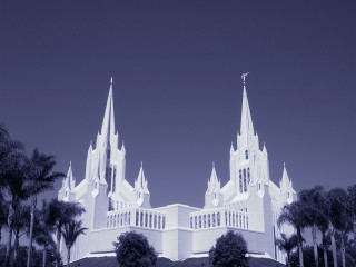 Church steeple palm trees night - a church free wallpaper