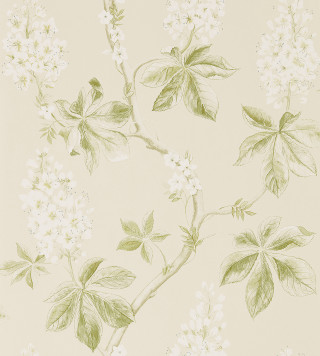 Flower pattern wallpaper branch leaves - a branch free wallpaper