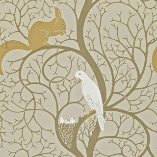 Bird branch squirrel sitting back - a branch free wallpaper