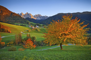 Tree field mountains road winding - a jigsaw puzzle free wallpaper for desktop
