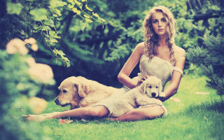 Woman sitting grass two dogs - two dog free wallpaper