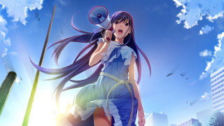 Woman long hair tennis racket - cloud and birds free wallpaper