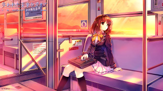 Woman sitting bench suitcase hand - her hand and a suitcase free wallpaper