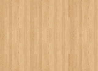 Wooden floor light brown cat - cat free wallpaper