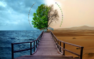 Wooden bridge tree water sunset - amir zand free wallpaper