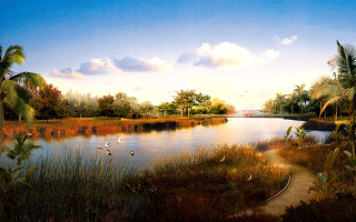 Lake palm trees pond path - chris labrooy free wallpaper