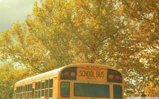 School bus yellow leaves blue - yellow leaf free wallpaper