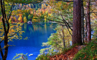 Lake trees forest boat water - impressionist free wallpaper