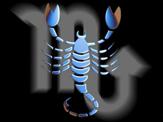 Scorpion dark 101 chest 101 - its back free wallpaper