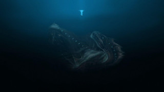 Large squid swimming ocean night - adam rex free wallpaper