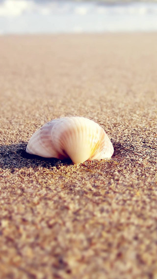 Shell beach ocean wave photorealism - e. william gollings free wallpaper