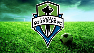 Soccer ball lush green field 6 - logo free wallpaper