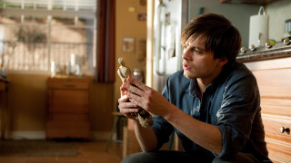 Man holding bird kitchen wooden - figurativism free wallpaper
