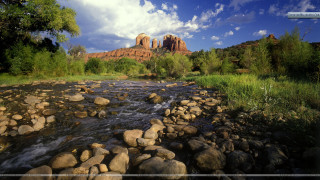 River lush forest rocks trees 3 - a lush green forest free wallpaper