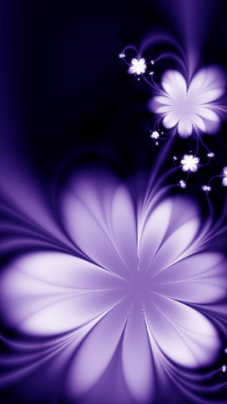 Purple flower white flowers black - a purple flower free wallpaper
