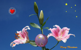 Pink flower heart blue sky - betty merken free wallpaper